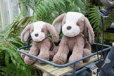 Pluche knuffelhond met naam & geboortedatum geborduurd – Luxe baby knuffel 41 cm