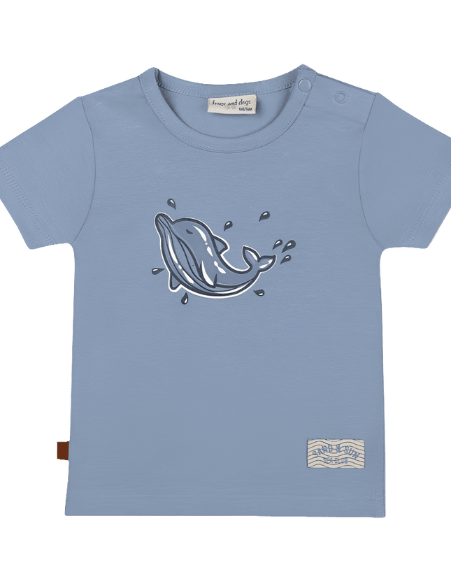 Shortsleeve dolphin