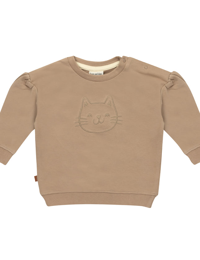 Sweater cat