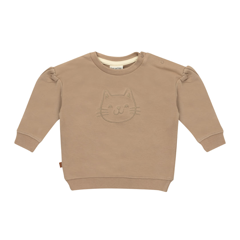 Sweater cat