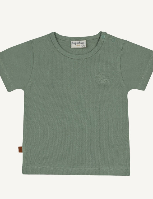 T-shirt crocodile