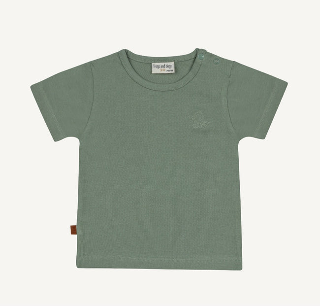 T-shirt crocodile