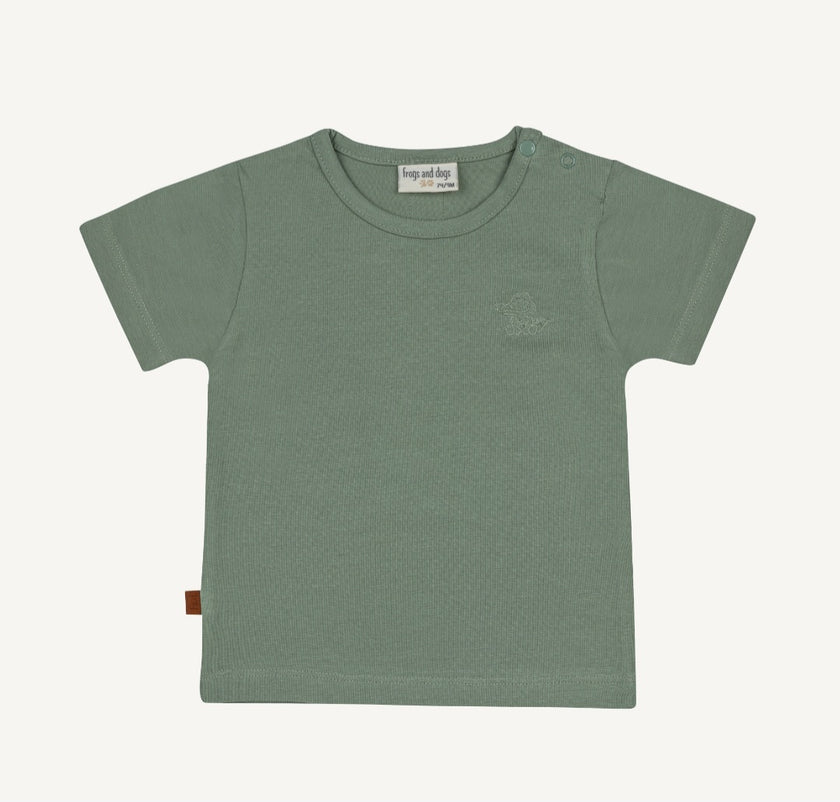 T-shirt crocodile