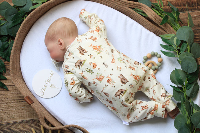 Boxpakje nature animal