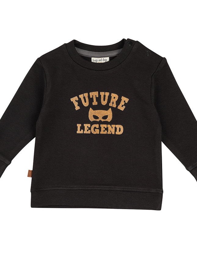 Little hero | Legend sweater